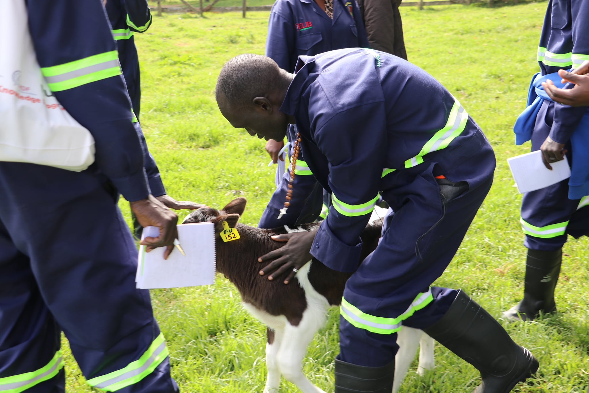 Young Dairy Farmers